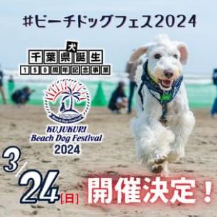 九十九里ビーチドッグフェスティバル2024【千葉県】