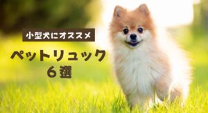 小型犬にオススメ【ペットリュック】６選！お出かけ人気アイテム！ポメラニアン・チワワ・トイプードル